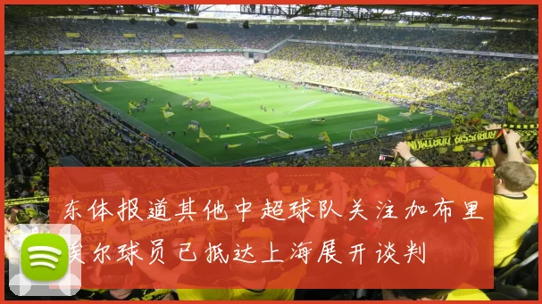 东体报道其他中超球队关注加布里埃尔球员已抵达上海展开谈判